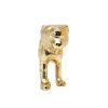 Gold Safari Knob by Knobs By Blossom Metal Cabinet-7