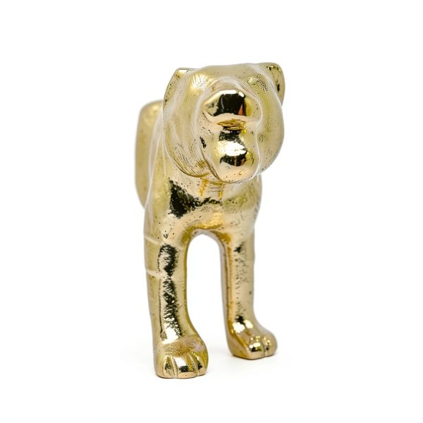 Gold Safari Knob by Knobs By Blossom Metal Cabinet-2